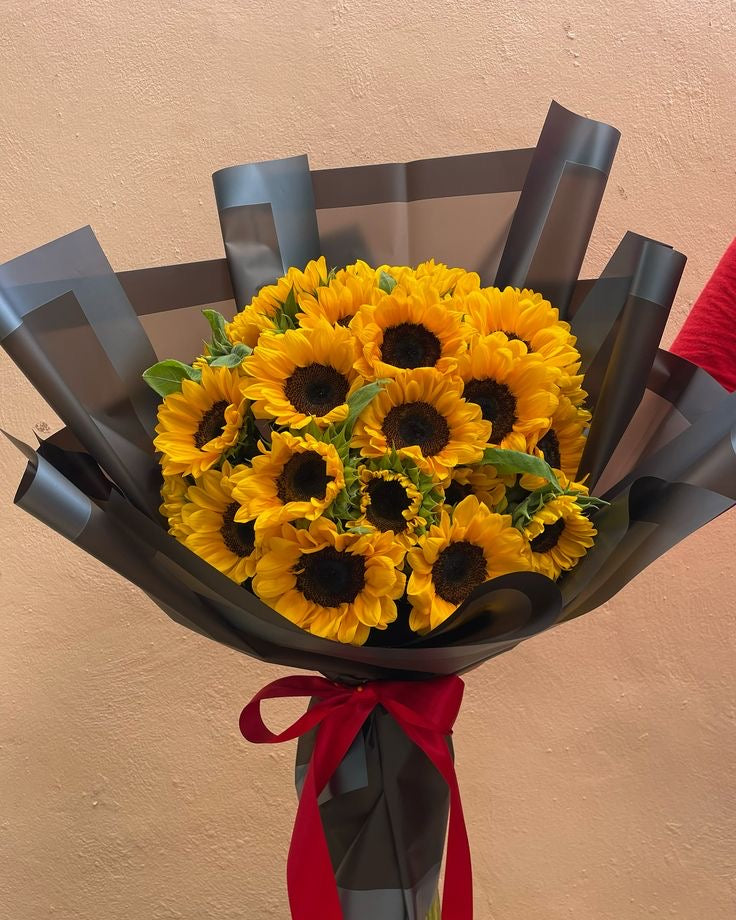 Latidos de Sol